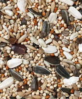 Bird Food