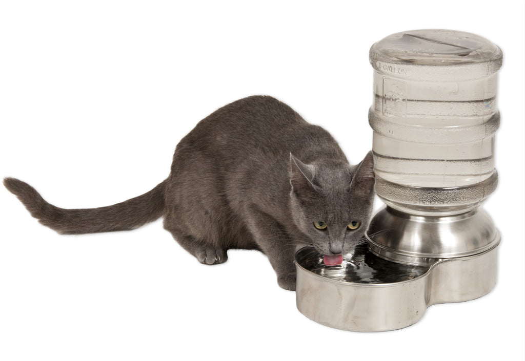 Cat Bowls/Feeders