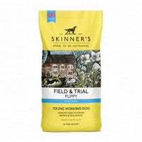 Field & Trial Puppy