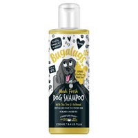 
              Bugalugs Medi Fresh Dog Shampoo
            