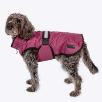 Danish Design 3 in 1 Dog Coat