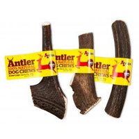 
              Antos Antler - Pet Products R Us
            
