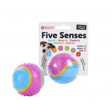 Five Senses Sensory Ball Small 6.35 cm - Pet Products R Us
