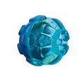 KONG Rewards Ball Large - Pet Products R Us