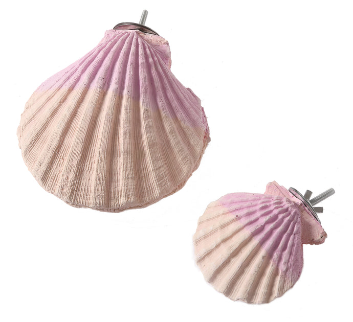Edible Calcium Clam - Pet Products R Us