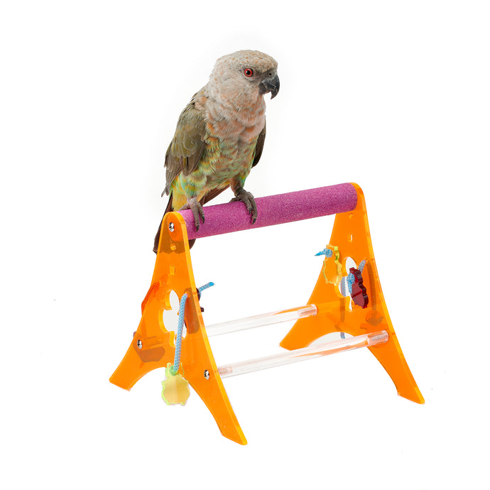 Acrylic Bird Stand Toy - Pet Products R Us