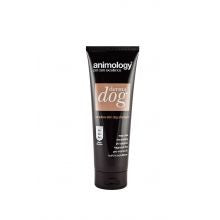 Animol Dermadog Shampoo - Pet Products R Us
