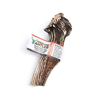 
              Antos Antler
            