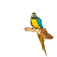 Bamboo Parrot Perch - Pet Products R Us