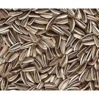Bucktons Medium Stripe Sunflowers 12.75kg - Pet Products R Us
