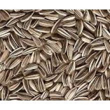 Bucktons Medium Stripe Sunflowers 12.75kg - Pet Products R Us
