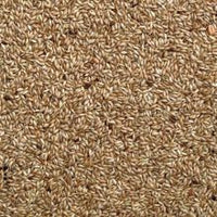 Bucktons Plain Canary 20kg - Pet Products R Us
 - 2