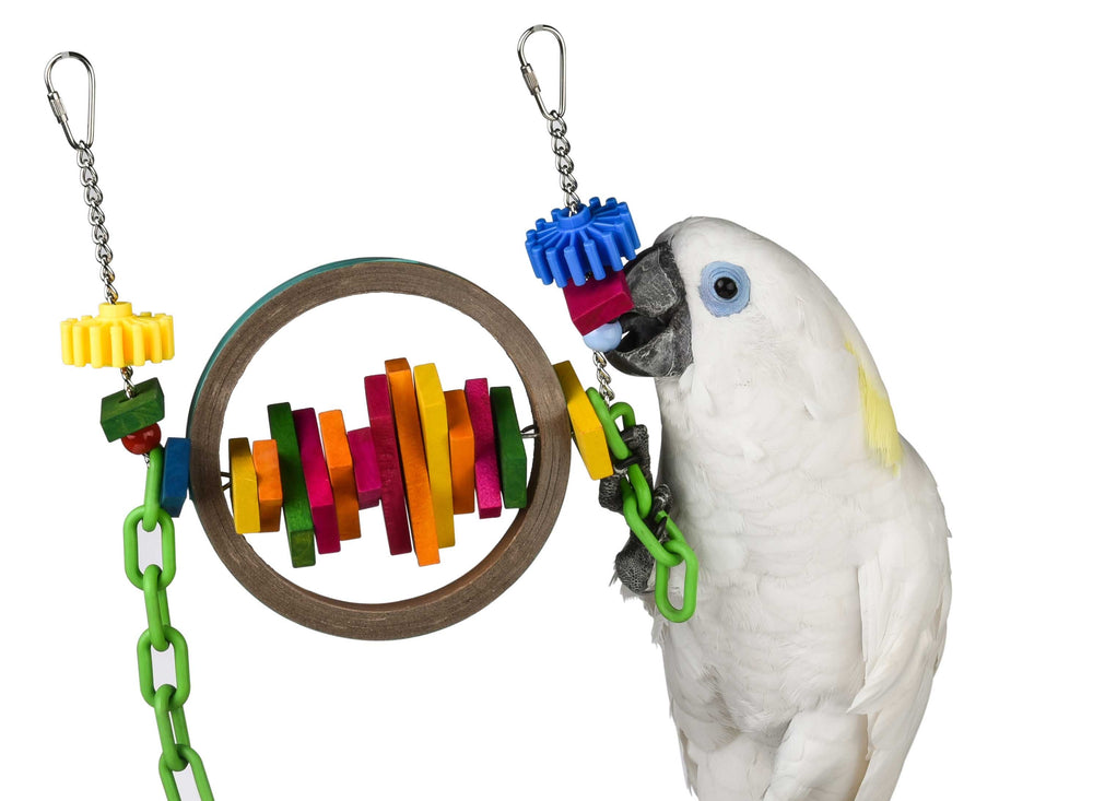 Busy Beaks Parrot Toy - Pet Products R Us