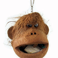Java CoCo Monkey Bird Toy - Pet Products R Us