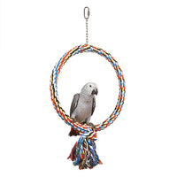 Coloured Ring Parrot Toy - Pet Products R Us