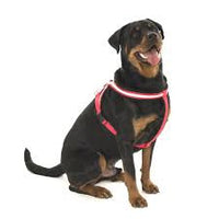 
              Comfy Harness - Pet Products R Us
            