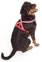 Comfy Harness - Pet Products R Us