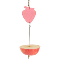 Fruit Spear Bird Toy - Pet Products R Us