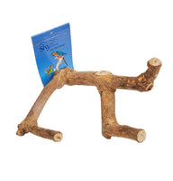 
              Java Multibranch - Pet Products R Us
            