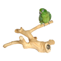 
              Java Multibranch - Pet Products R Us
            