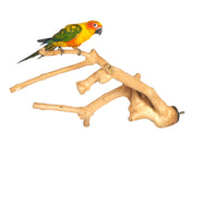 Java Multibranch - Pet Products R Us