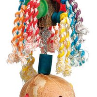 Rainbow Twirl Parrot Toy - Pet Products R Us