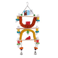 Reflection Fun Parrot Toy - Pet Products R Us