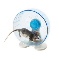 
              Rodent Wheel - Pet Products R Us
            