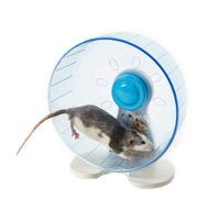 Rodent Wheel - Pet Products R Us