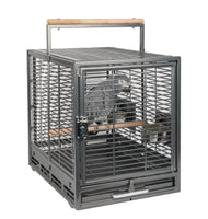 
              Safari Bird Travel Cage - Pet Products R Us
            