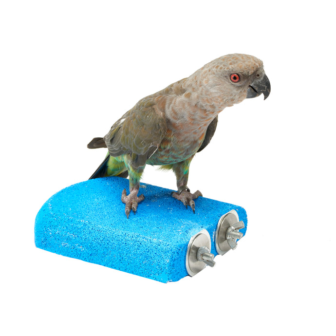 Sanded Shelf - Pet Products R Us