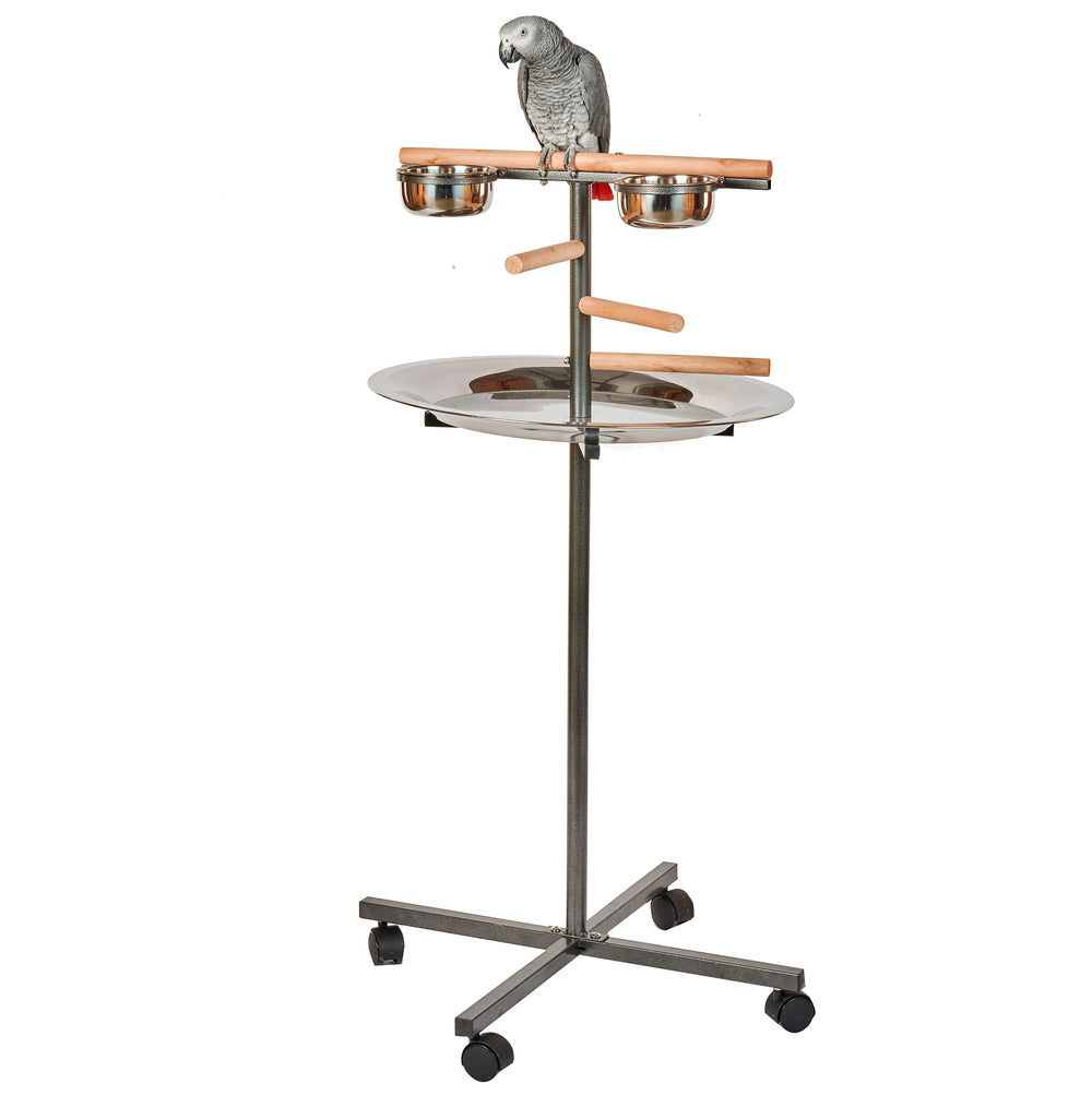 Parrot T-Bar Stand - Pet Products R Us