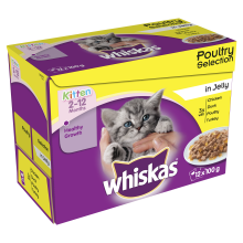 Whiskas Pouch Poultry Selection Chunks In Jelly Kitten  100g x 12 - Pet Products R Us
