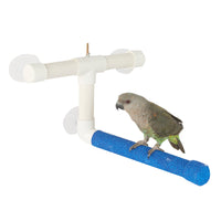 
              Window & Shower Bird Perch - Pet Products R Us
            