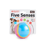 Five Senses Sensory Ball - Pet Products R Us