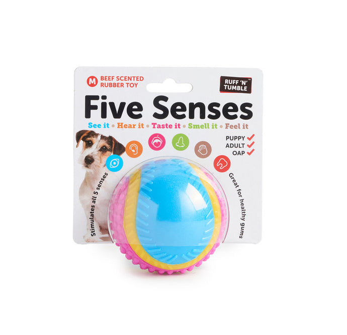 Five Senses Sensory Ball - Pet Products R Us